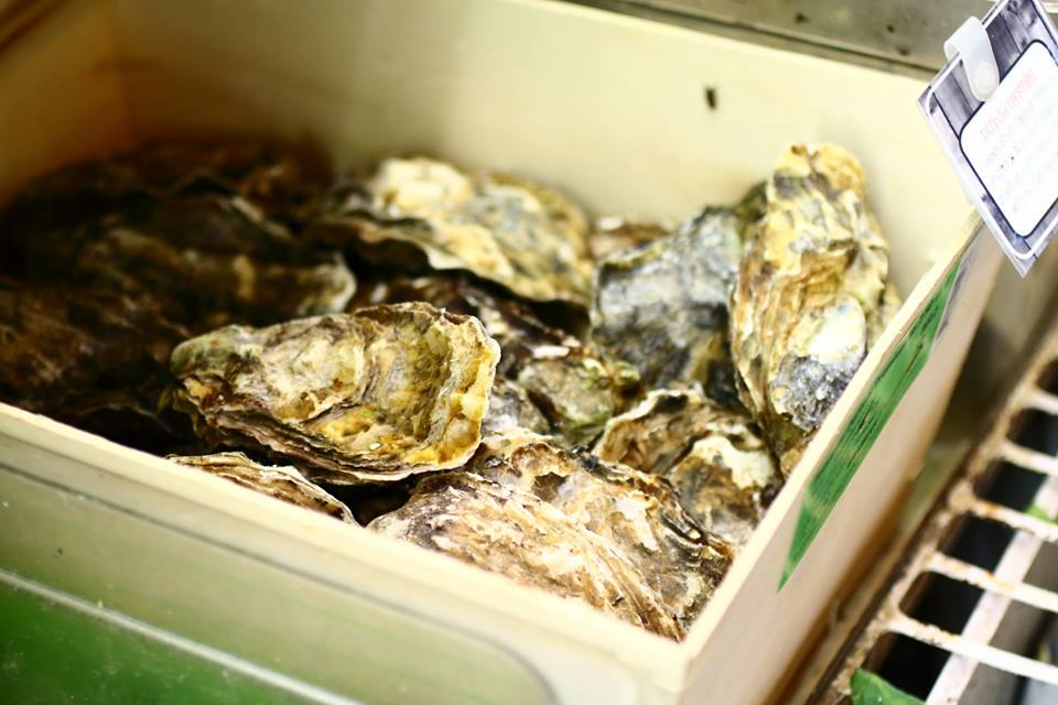 Do You Love Oysters? Check Out The World Oyster Festival 2016