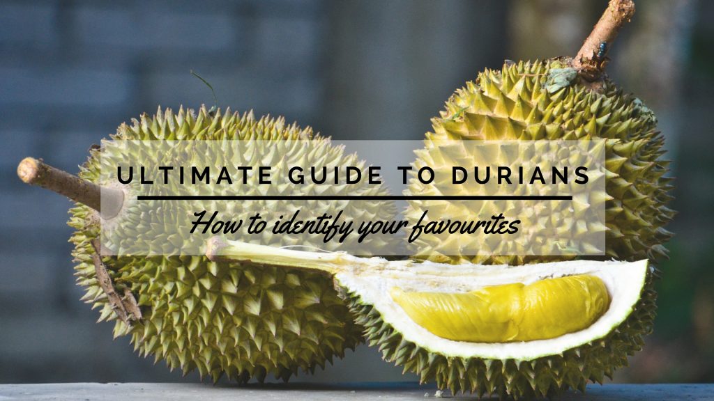 Bitter Or Sweet Guide To Identifying Your Favourite Durian Types