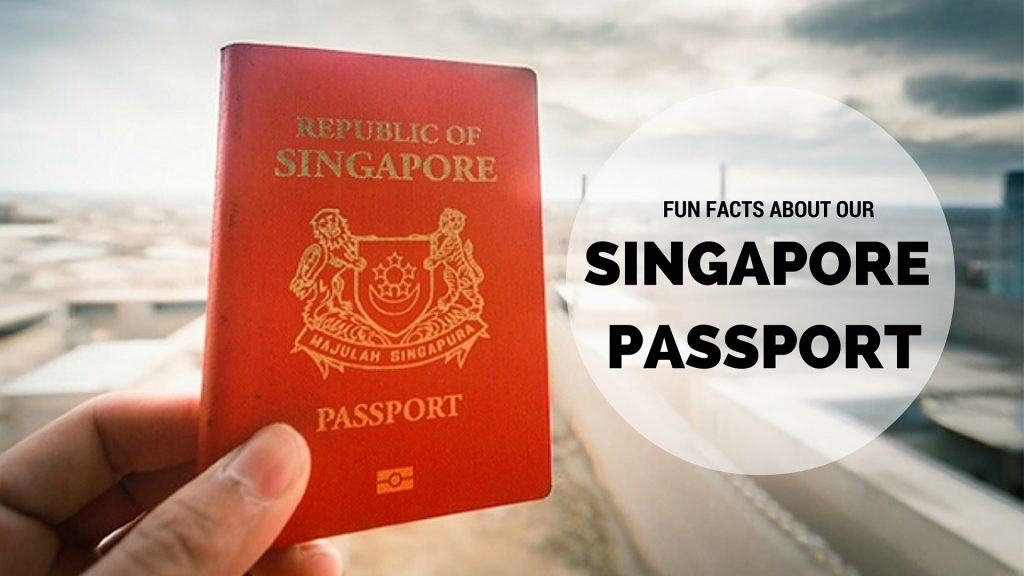 singapore visa photo tool