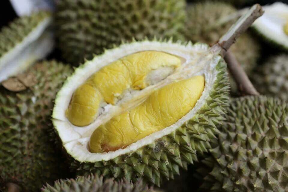 Durian Guide: 9 Trusty Heartland Durian Stalls That Are Worth Your ...